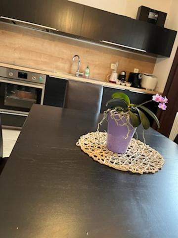 A la foto es mostra l'objecte Apartma Bohinj situat a la ciutat de Bohinj.