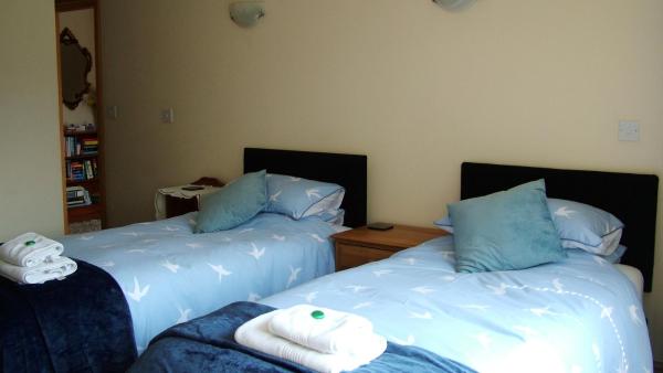 Tregenna Licenced Bed & Breakfast - ウェールズ
