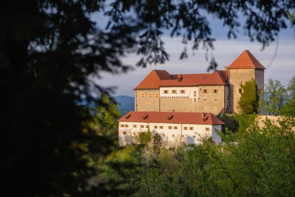 Rooms & Apartments Podsreda Castle - Slovenië