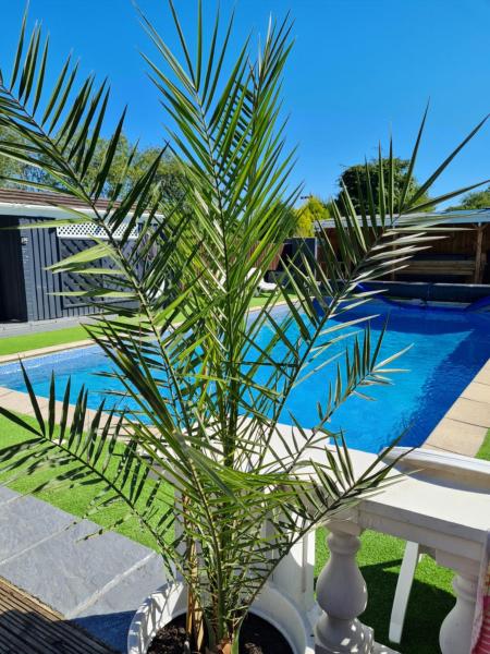 Richlands Homestay - Porthcawl