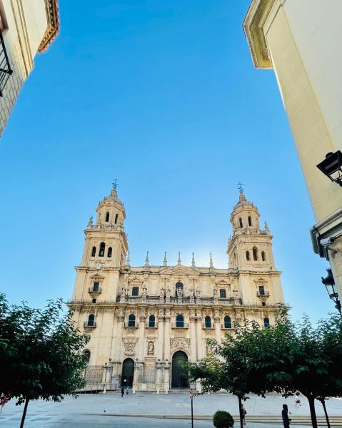 A la foto es mostra l'objecte Ecclesia Major Apartment - Vivienda con Fines Turísticos Catedral de Jaen situat a la ciutat de Jaén.