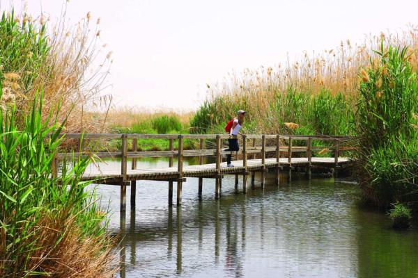 Billede 4: Azraq Rest House