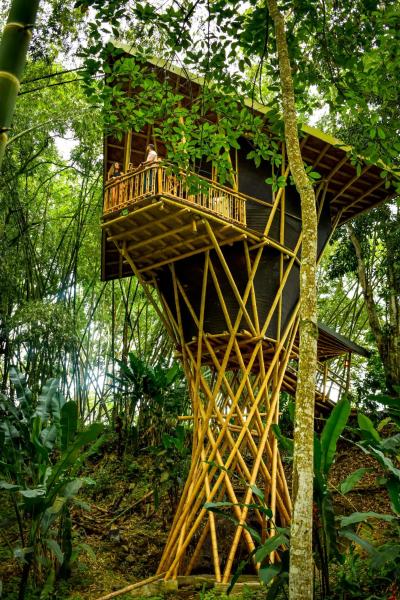 Nella foto è visibile l'oggetto Eco Hotel Hacienda El Diamante situato nella città di Buga.