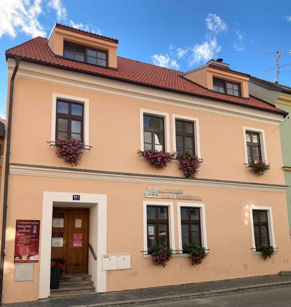 Penzion A Wellness U Třeboňské Madony - チェコ