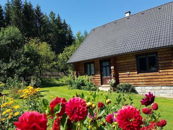 写真にはVlčeves市にあるSrub Karpatskýが写っています。