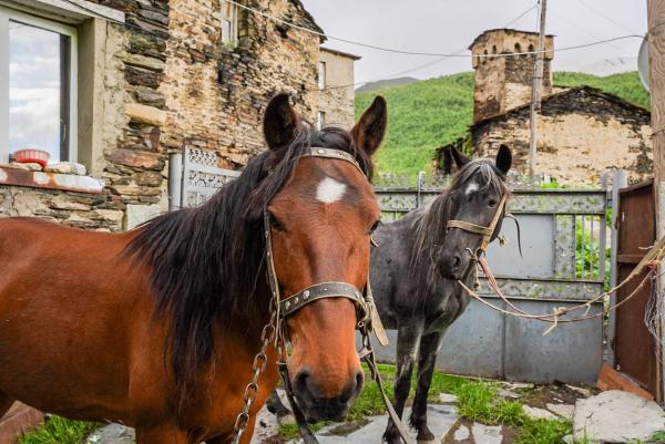 Bori's Guesthouse, Ushguli