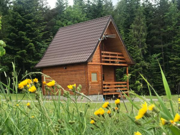 Na zdjęciu widoczny jest obiekt Domek letniskowy Biedówka położony w mieście Młyńczyska.