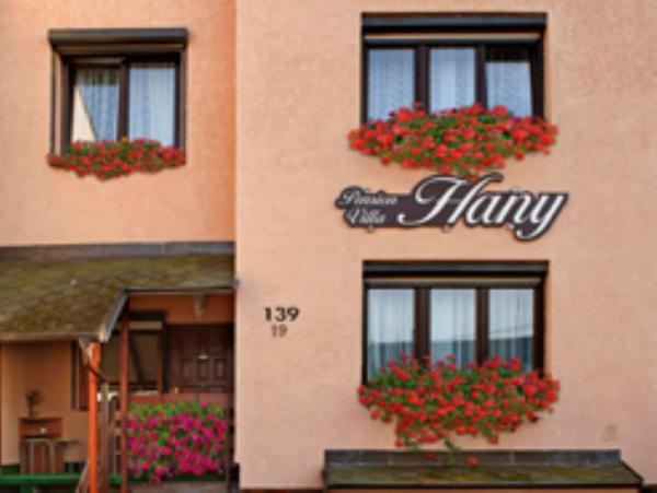 Na fotografii je vidět objekt Pension Villa Hany nacházející se ve městě Trstěnice.