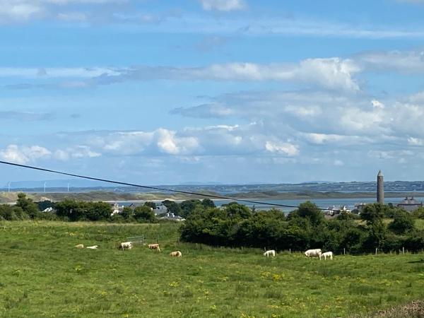 Na zdjęciu widoczny jest obiekt Island View położony w mieście Farrellstown.