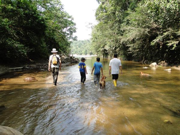 Na zdjęciu widoczny jest obiekt Grand Selva Lodge & Tours położony w mieście Tena.