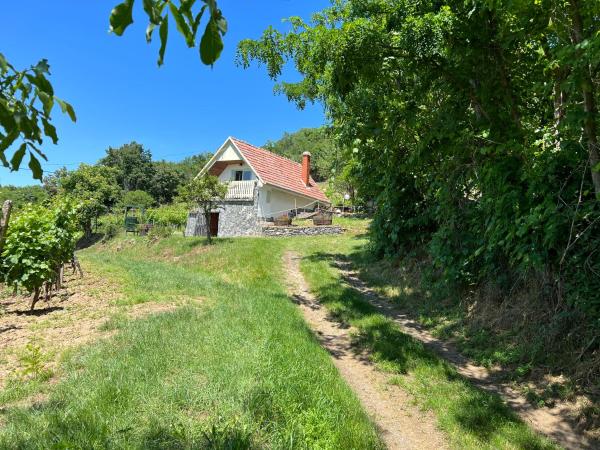 A la foto es mostra l'objecte Vine Cottage situat a la ciutat de Káptalantóti.