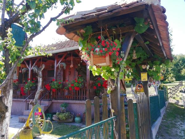 The photo shows the Mala Kelja located in the city of Varnice.