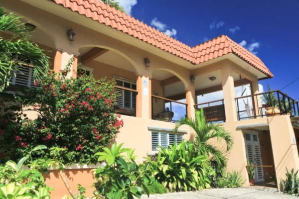 A la foto es mostra l'objecte Villa Coral Guesthouse situat a la ciutat de Colonia Puerto Real.