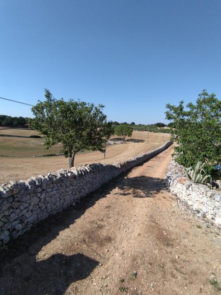 A la foto es mostra l'objecte Masseria Catucci Agriturismo situat a la ciutat de Alberobello.