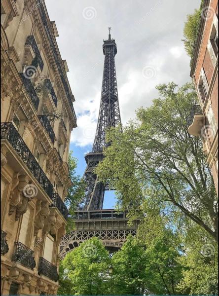 Appartement 1 Chambre — 45 m² - Studio Élysées