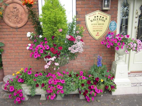 Nella foto è visibile l'oggetto Killyon Guest House situato nella città di Navan.