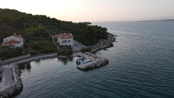 Goga - Bibinje