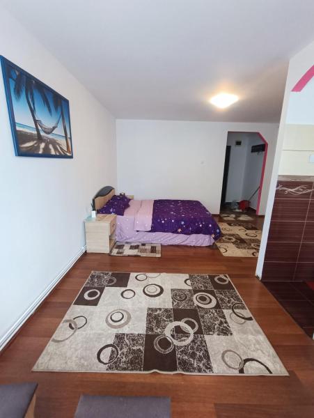 照片显示了位于Deva市的Alexia house物件。