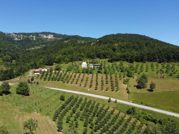 照片显示了位于Kosanica市的Kljajevica Orchard物件。