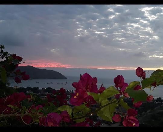 A la foto es mostra l'objecte Maremonti Vacation Rental situat a la ciutat de Machalilla.