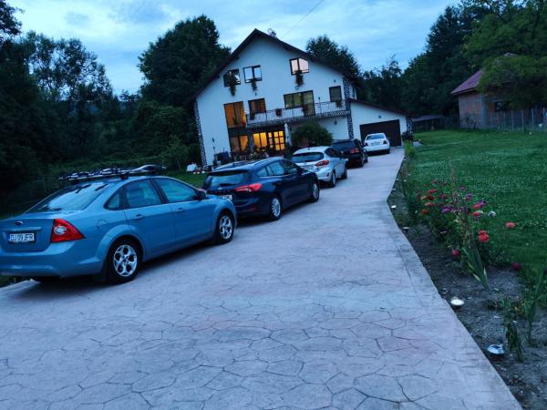 Casa Irina - Transilvania
