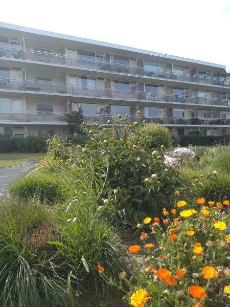 Joy Lotus 105 - Le Coq