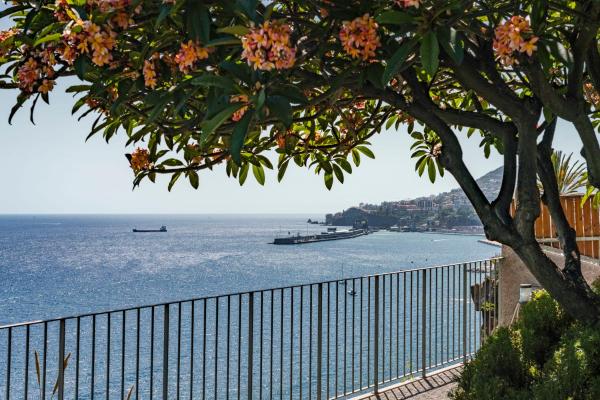 A la foto es mostra l'objecte Lazareto Mar by An Island Apart situat a la ciutat de Funchal.