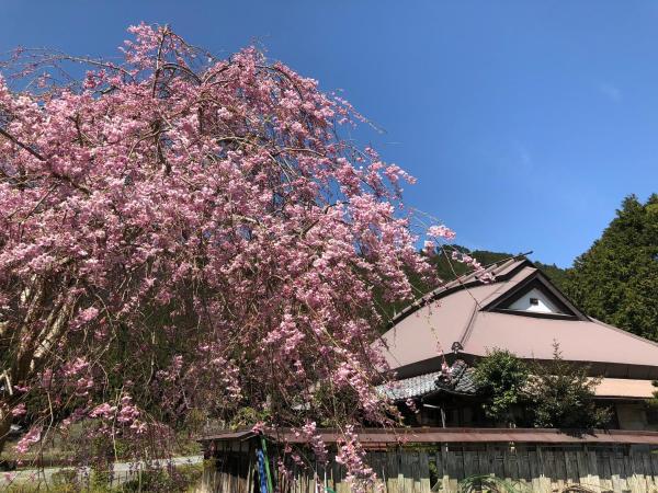 みのる庵的照片4