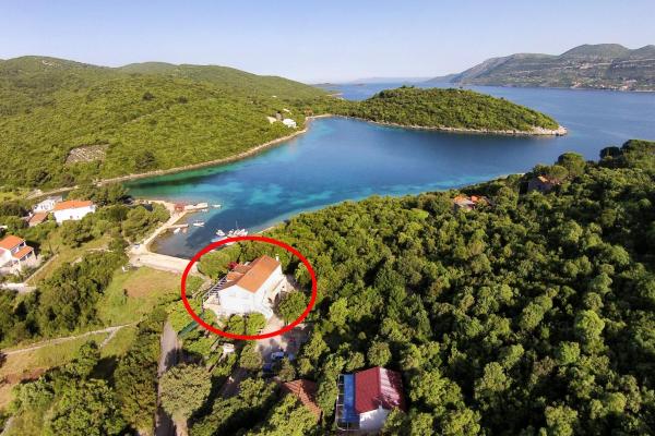 A la foto es mostra l'objecte Apartment Vrbovica 4452c situat a la ciutat de Korčula.