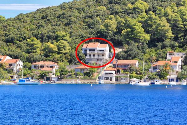 A la foto es mostra l'objecte Apartments by the sea Zrnovska Banja, Korcula - 4443 situat a la ciutat de Korčula.