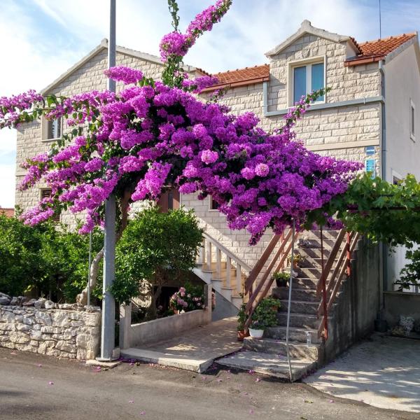 På billedet ses objektet Apartments with parking space Supetar, Brac - 14720 beliggende i byen Supetar.