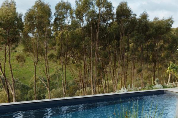 TIMBA - Luxury bush retreat with pool, spa & gym photo 6