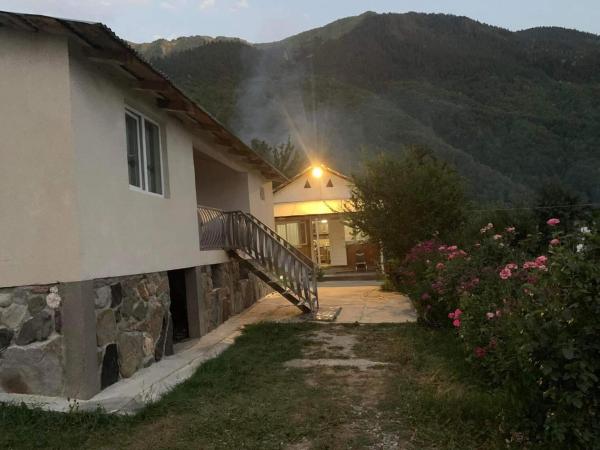 Na fotografii je vidět objekt Guest house Mzia nacházející se ve městě Becho.