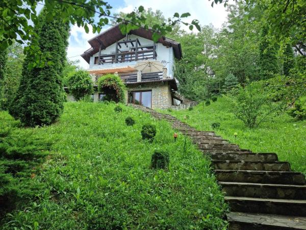 写真にはOcina de Jos市にあるVILA GIGI, ideala pentru relaxare si distractie!が写っています。