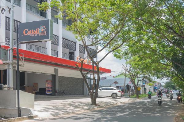 A la foto es mostra l'objecte Cattail Guest House Pontianak situat a la ciutat de Limbung.