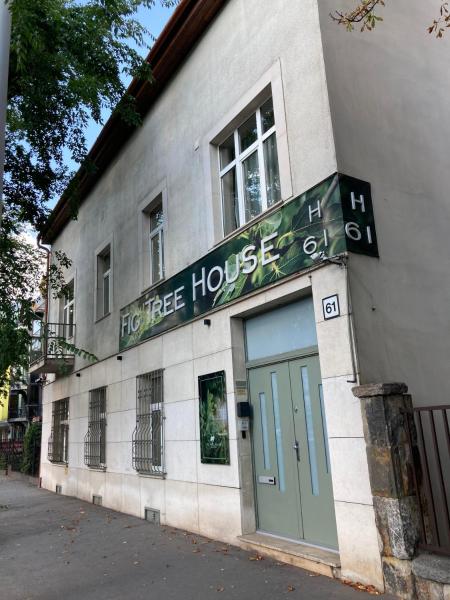 Fig Tree House, Budapešť