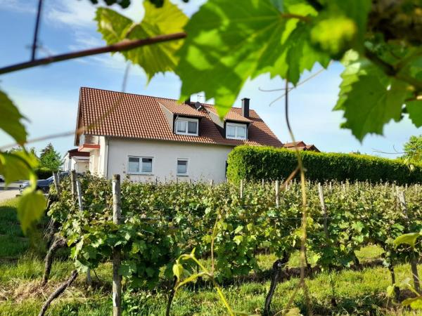 Na fotografii je vidět objekt Ferienwohnung am Schoosberg, Niederkirchen bei Deidesheim nacházející se ve městě Niederkirchen bei Deidesheim.