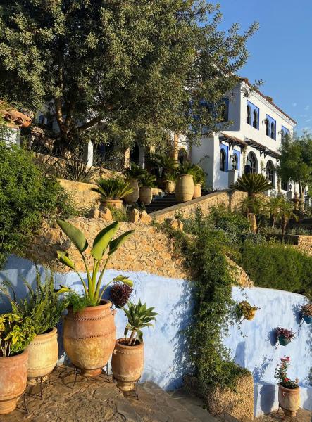 På bildet vises objektet Dar Jasmine som ligger i byen Chefchaouen.