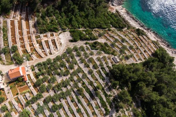 Na fotografii je vidět objekt Seaside house for families with children Cove Zanavje, Korcula - 19224 nacházející se ve městě Blato.