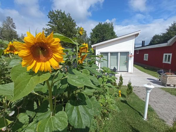 A la foto es mostra l'objecte Attefallshus säng 160 bäddsoffa 160 situat a la ciutat de Växjö.