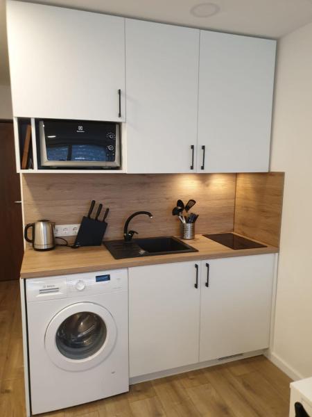 La photo montre l'objet Studio rent in Zarasai situé dans la ville de Magučiai.