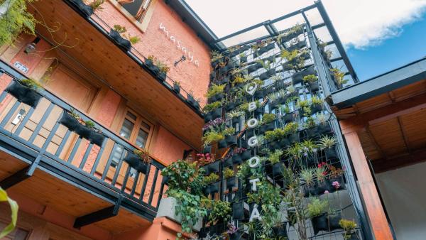 Masaya Bogotá, Bogota