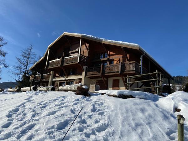 Na fotografii je vidět objekt Appartement face Mont Blanc nacházející se ve městě Ormaret.