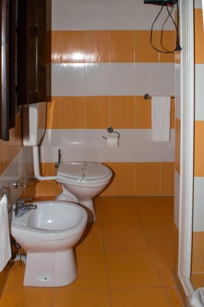 Foto 2: Populus