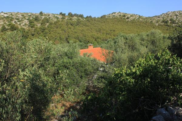 A la foto es mostra l'objecte Secluded fisherman's cottage Cove Magrovica - Telascica, Dugi otok - 8122 situat a la ciutat de Sali.