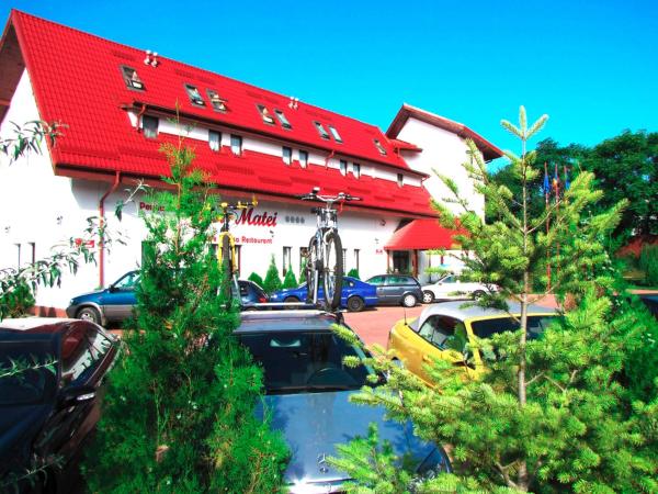 Na foto é possível ver o objeto Pensiunea Casa Matei localizado na cidade de Berca.