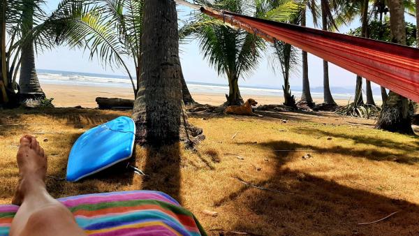 Φωτογραφία 4: Down By The Sea, the beachfront Apartment