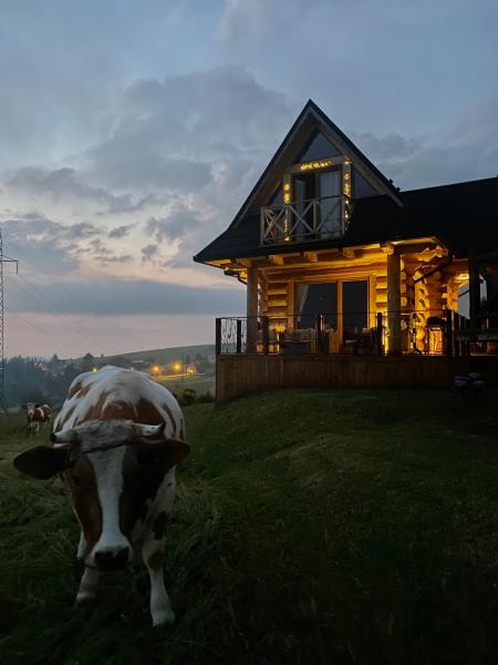 A la foto es mostra l'objecte Little House situat a la ciutat de Ząb.