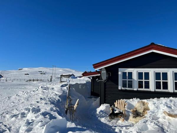 På billedet ses objektet Seterhytte i Havsdalen beliggende i byen Geilo.