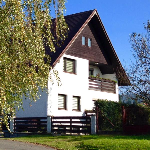 På billedet ses objektet Apartment U Anděla beliggende i byen Dlouhá Ves.